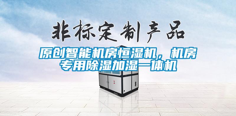 原創智能機房恒濕機,機房專用除濕加濕一體機