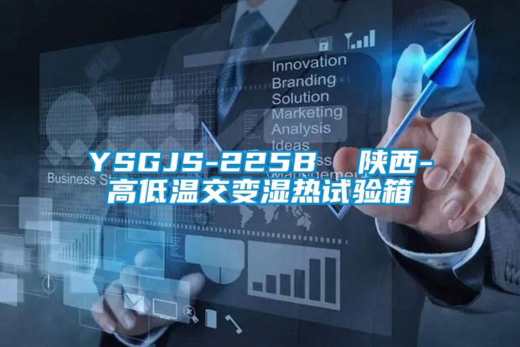 YSGJS-225B 陜西-高低溫交變濕熱試驗(yàn)箱
