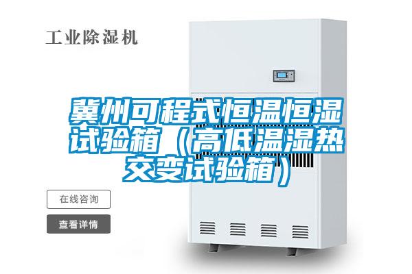 冀州可程式恒溫恒濕試驗箱(高低溫濕熱交變試驗箱)