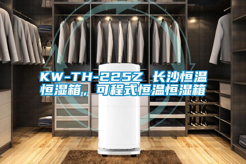 KW-TH-225Z 長沙恒溫恒濕箱,可程式恒溫恒濕箱