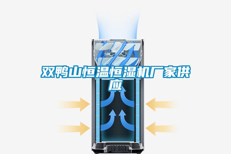 雙鴨山恒溫恒濕機(jī)廠家供應(yīng)