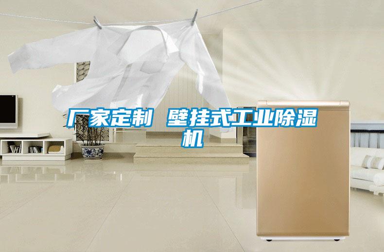 廠家定制 壁掛式工業(yè)除濕機