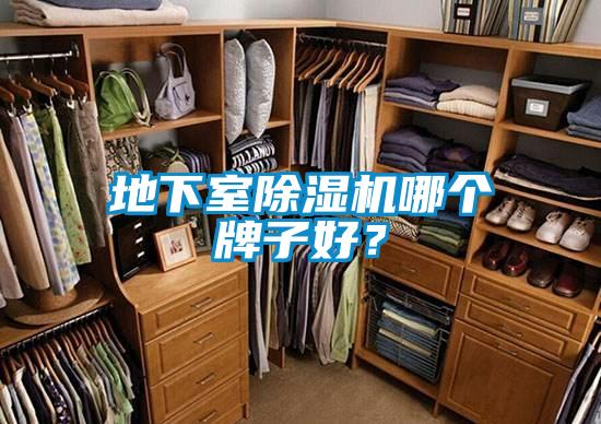 地下室除濕機(jī)哪個(gè)牌子好?