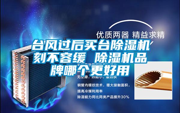 臺(tái)風(fēng)過(guò)后買臺(tái)除濕機(jī)刻不容緩 除濕機(jī)品牌哪個(gè)更好用