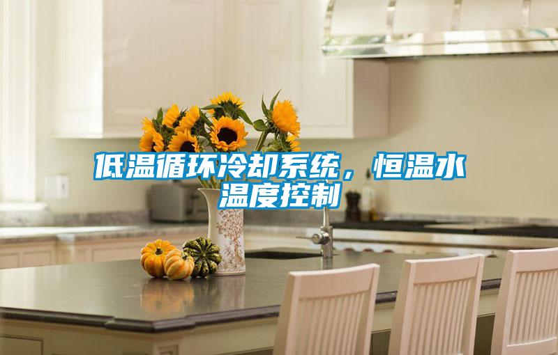 低溫循環(huán)冷卻系統(tǒng)，恒溫水溫度控制