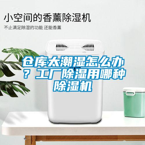 倉庫太潮濕怎么辦?工廠除濕用哪種除濕機