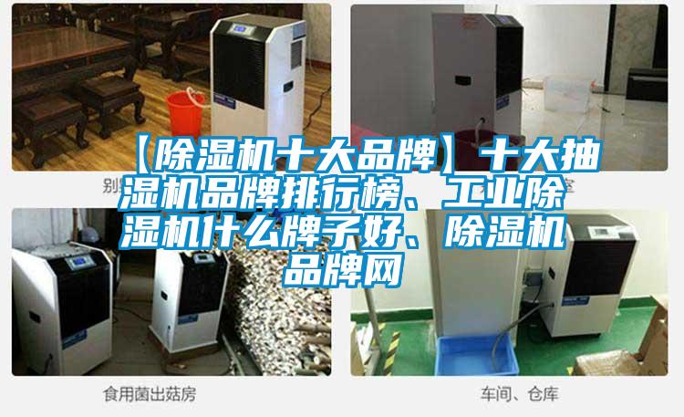 【除濕機十大品牌】十大抽濕機品牌排行榜、工業除濕機什么牌子好、除濕機品牌網