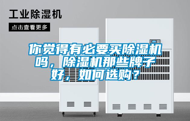 你覺得有必要買除濕機嗎,除濕機那些牌子好,如何選購?