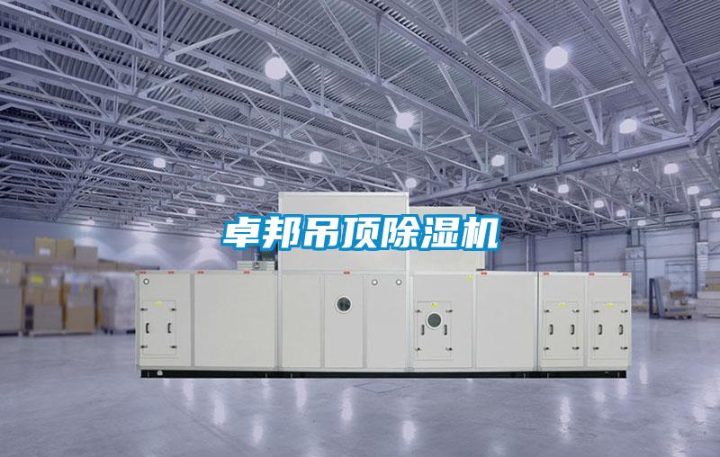卓邦吊頂除濕機(jī)