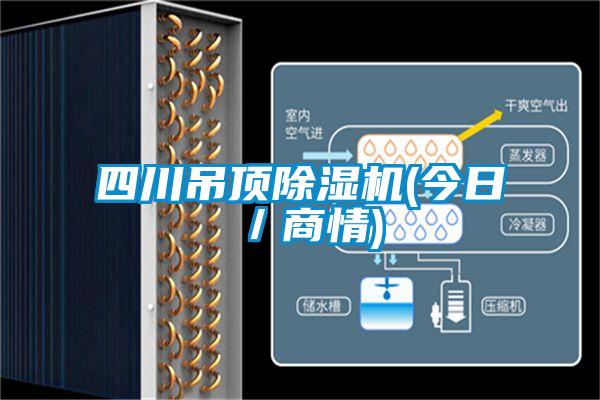 四川吊頂除濕機(今日/商情)