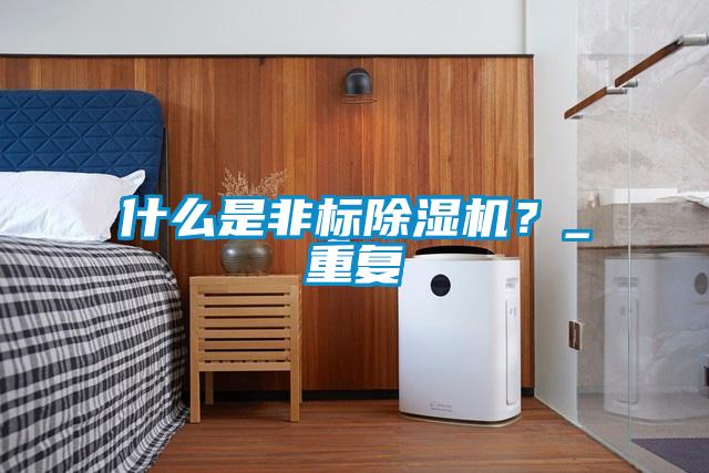 什么是非標(biāo)除濕機(jī)?_重復(fù)