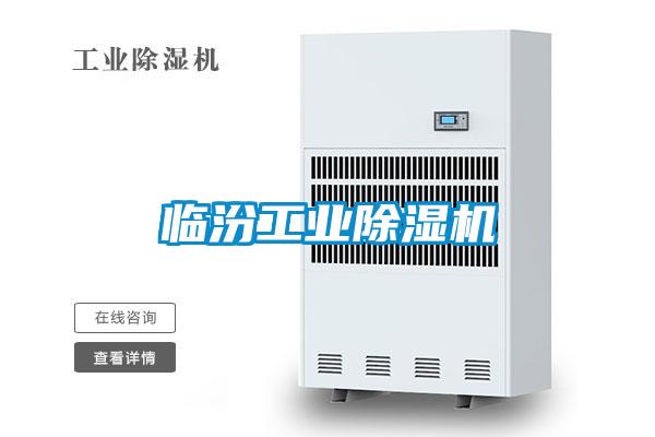 臨汾工業除濕機