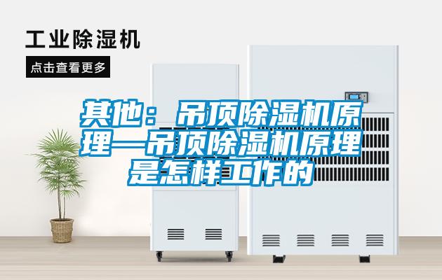 其他:吊頂除濕機原理—吊頂除濕機原理是怎樣工作的