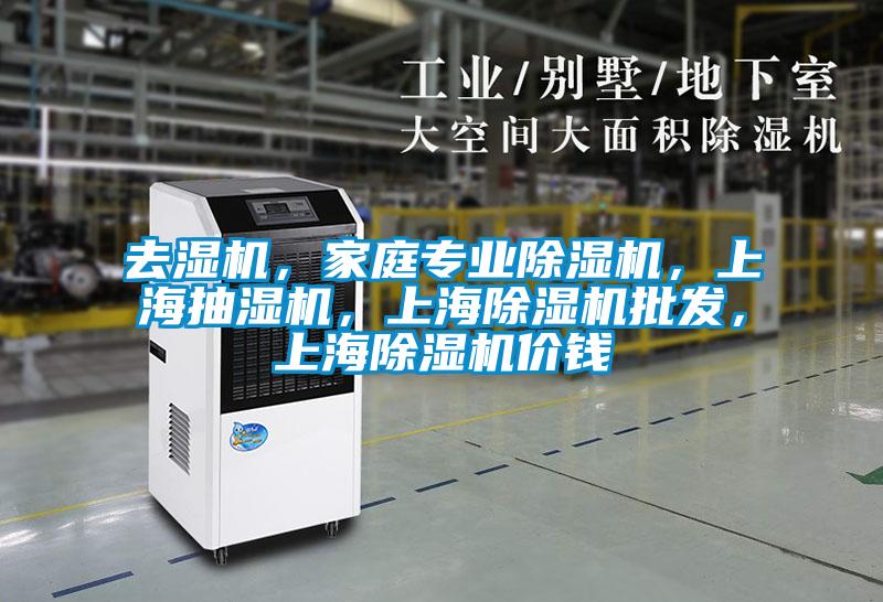 去濕機(jī),家庭專業(yè)除濕機(jī),上海抽濕機(jī),上海除濕機(jī)批發(fā),上海除濕機(jī)價(jià)錢
