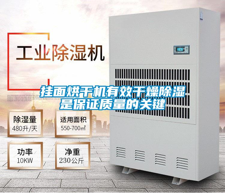 掛面烘干機有效干燥除濕是保證質(zhì)量的關(guān)鍵
