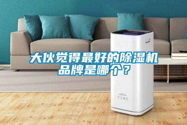 大伙覺得最好的除濕機品牌是哪個?