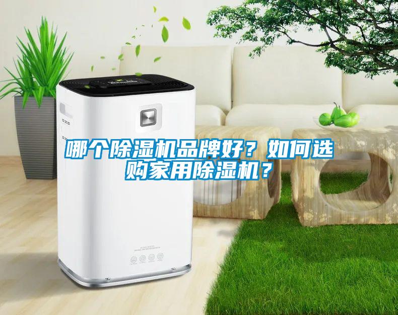 哪個除濕機品牌好？如何選購家用除濕機？