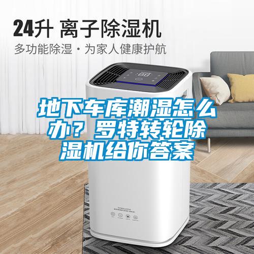 地下車庫潮濕怎么辦?羅特轉(zhuǎn)輪除濕機給你答案