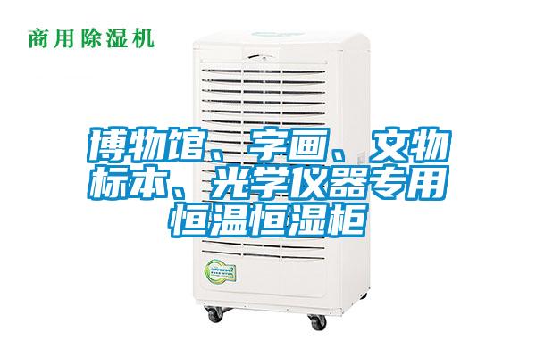 博物館、字畫(huà)、文物標(biāo)本、光學(xué)儀器專(zhuān)用恒溫恒濕柜