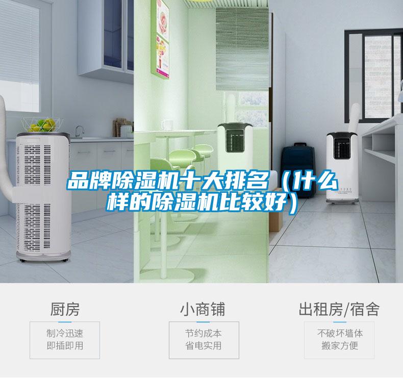 品牌除濕機十大排名(什么樣的除濕機比較好)