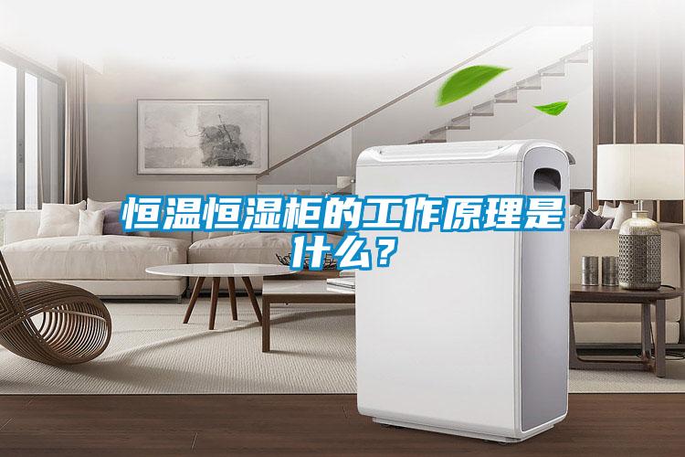 恒溫恒濕柜的工作原理是什么？