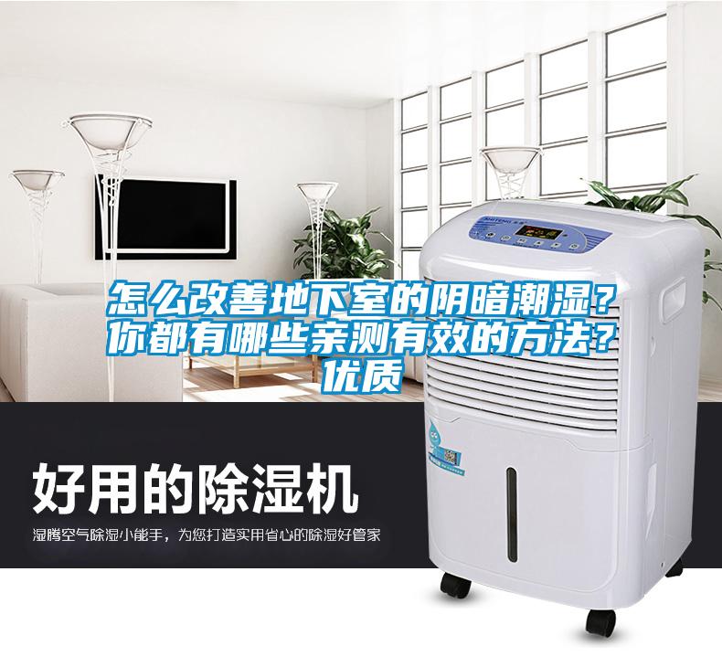 怎么改善地下室的陰暗潮濕？你都有哪些親測有效的方法？優質