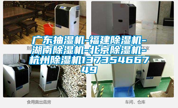 廣東抽濕機-福建除濕機-湖南除濕機-北京除濕機-杭州除濕機13735466749