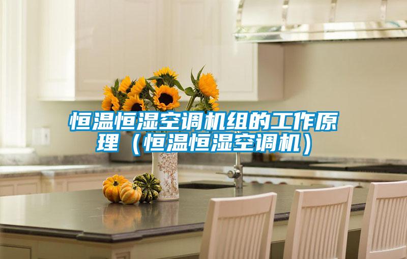 恒溫恒濕空調(diào)機組的工作原理(恒溫恒濕空調(diào)機)