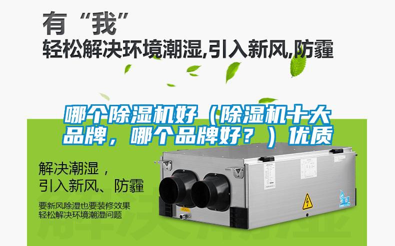 哪個除濕機好（除濕機十大品牌，哪個品牌好？）優(yōu)質(zhì)