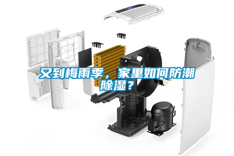 又到梅雨季,家里如何防潮除濕?