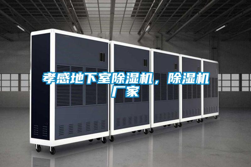 孝感地下室除濕機,除濕機廠家