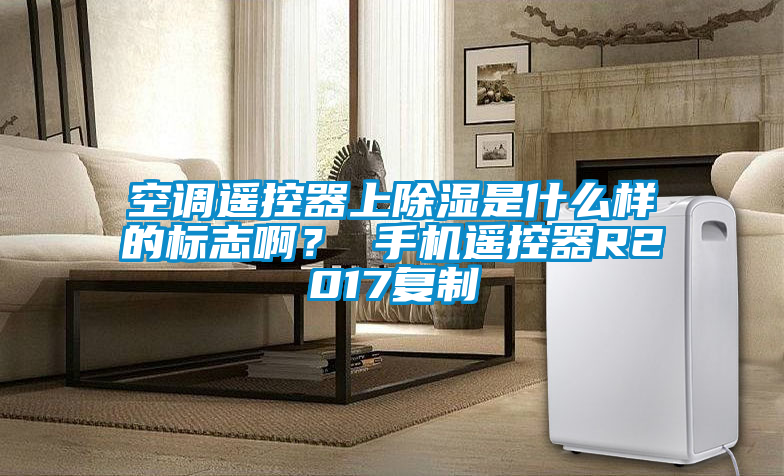 空調(diào)遙控器上除濕是什么樣的標(biāo)志?。?手機(jī)遙控器R2017復(fù)制