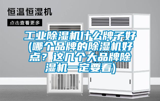 工業除濕機什么牌子好(哪個品牌的除濕機好點？這幾個大品牌除濕機一定要看)