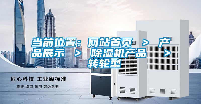 當前位置:網(wǎng)站首頁 > 產(chǎn)品展示 > 除濕機產(chǎn)品 > 轉輪型