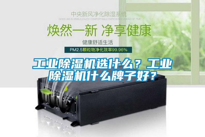 工業(yè)除濕機選什么?工業(yè)除濕機什么牌子好?