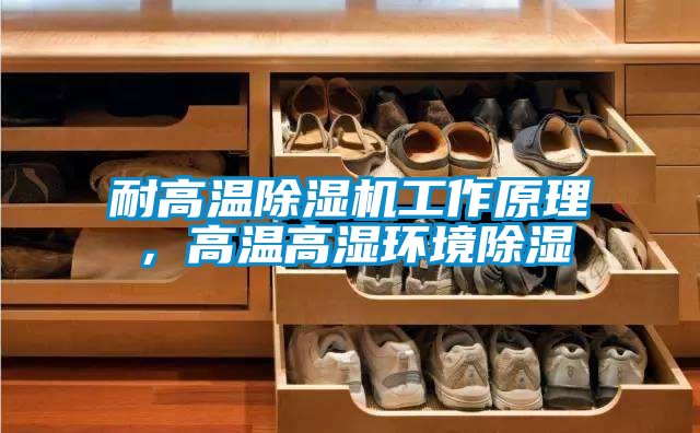 耐高溫除濕機工作原理,高溫高濕環(huán)境除濕