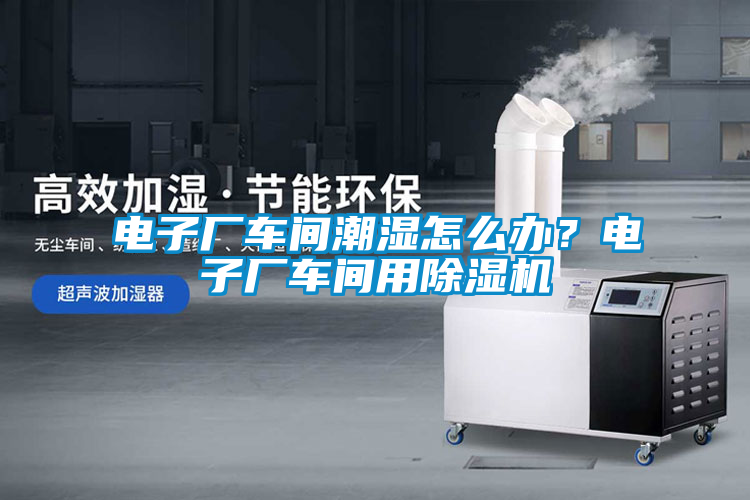 電子廠車間潮濕怎么辦？電子廠車間用除濕機