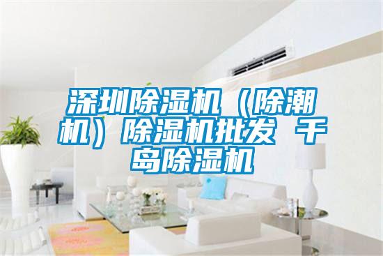 深圳除濕機(除潮機)除濕機批發 千島除濕機