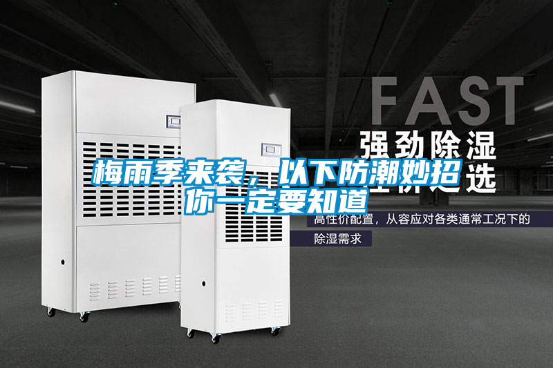 梅雨季來(lái)襲,以下防潮妙招你一定要知道