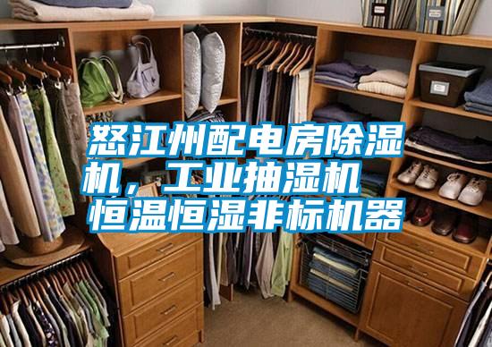 怒江州配電房除濕機,工業(yè)抽濕機 恒溫恒濕非標機器
