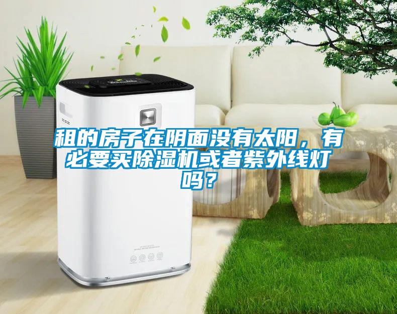 租的房子在陰面沒有太陽,有必要買除濕機或者紫外線燈嗎?