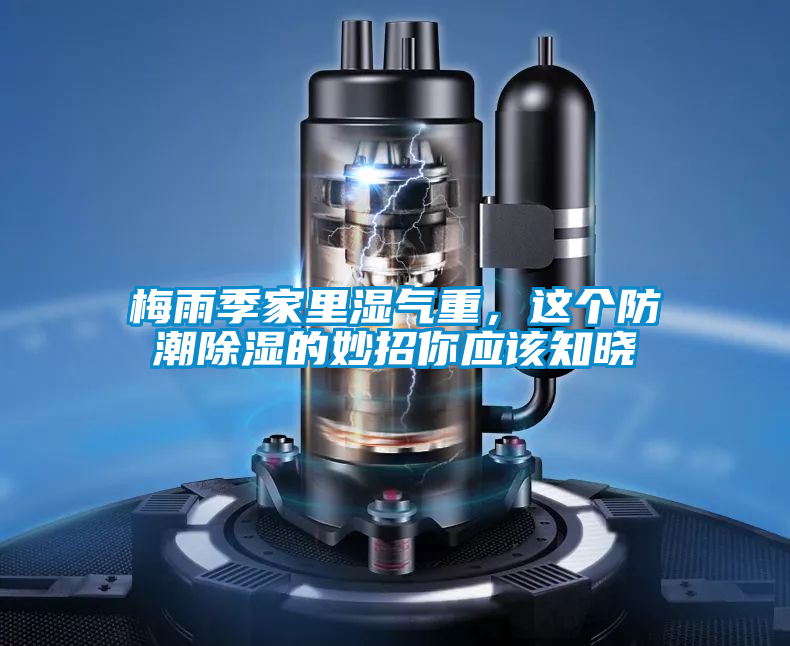 梅雨季家里濕氣重，這個防潮除濕的妙招你應該知曉