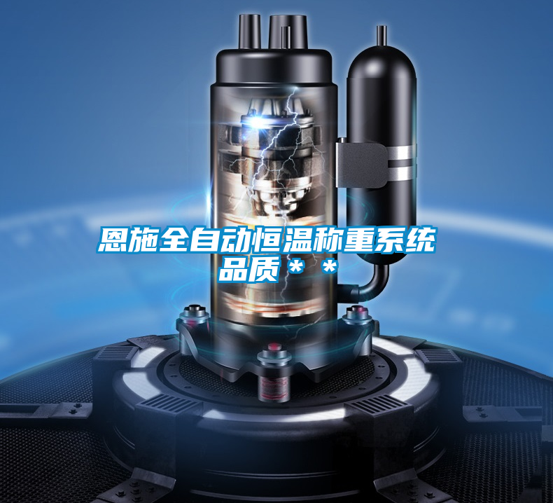 恩施全自動恒溫稱重系統 品質**