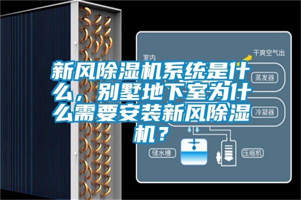 新風除濕機系統是什么,別墅地下室為什么需要安裝新風除濕機?