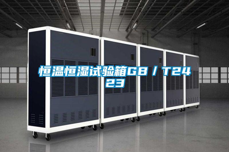 恒溫恒濕試驗(yàn)箱GB/T2423