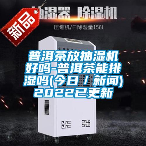 普洱茶放抽濕機好嗎-普洱茶能排濕嗎(今日/新聞)2022已更新