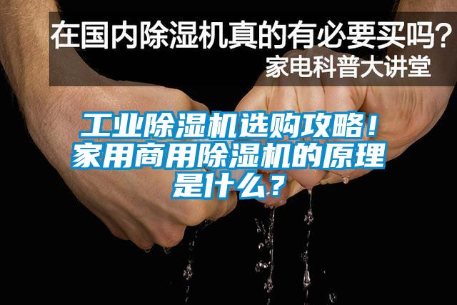 工業(yè)除濕機選購攻略!家用商用除濕機的原理是什么?