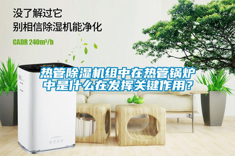 熱管除濕機組中在熱管鍋爐中是什么在發(fā)揮關鍵作用?