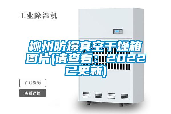 柳州防爆真空干燥箱圖片(請查看:2022已更新)