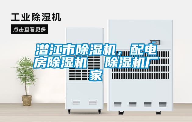 潛江市除濕機(jī),配電房除濕機(jī) 除濕機(jī)廠家